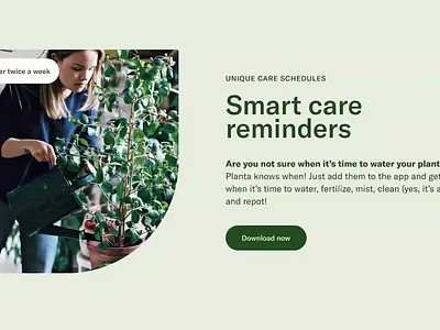 Figma Animation animation figma graphic design