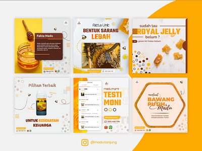 Honey Product Instagram Feed adobe illustrator design graphic design instagram instagram post