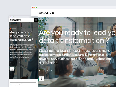 Datasive - Website branding illustration ui webflow