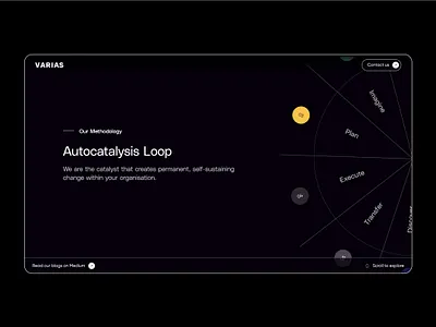 Varias website branding design graphic design logo typography ui ux website