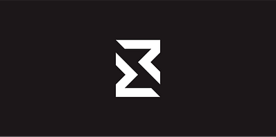 R R - Logo branding graphic design identity logo visual