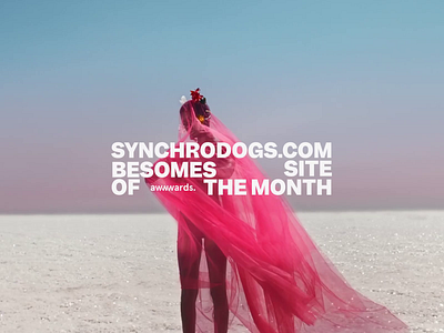 Synchrodogs Site of the Month on Awwwards animation grid promo ui ux video web website