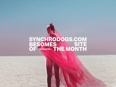 Synchrodogs Site of the Month on Awwwards animation grid promo ui ux video web website