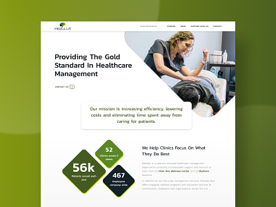 Healthcare Management :: Homepage concept