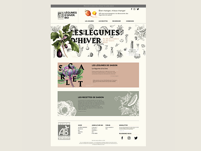 BIO D'HIVER branding graphic design illustration ui ux webdesign