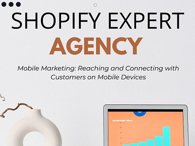 shopify expert agency ads ecpert design dropdhippping website droppshoping store dropshippingstore facebook ads illustration instagram ds marketerbabu