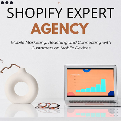 shopify expert agency ads ecpert design dropdhippping website droppshoping store dropshippingstore facebook ads illustration instagram ds marketerbabu