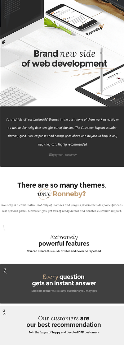 Ronneby - High-Performance WordPress Theme website theme