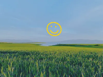 Be nice animation animation graphic design motion graphics procreate