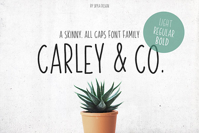 Skinny Font family Carley & Co. Free Download bold cards condensed cursive cute design font fonts graphic handlettering handwritten invite light regular script thin type typeface vintage