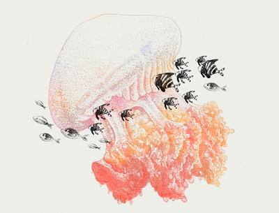 JELLY branding design graphic design illustration jellyfish science illustration texture