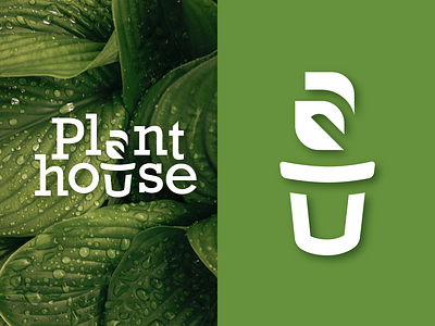 Plant House Logo branding graphic design logo