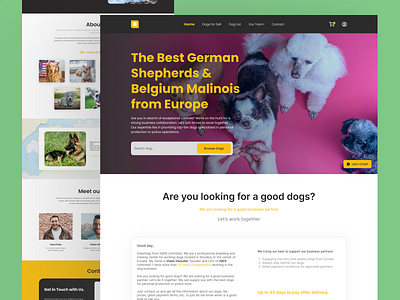 German Shepherds & Belgium Malinois Website Design app branding design dogs graphic design typography ui ux vector website website design