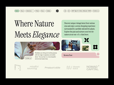 Plants & Decor Store bold creative design ecommerce grid interface landing ui pattern site store ui ux web web design website