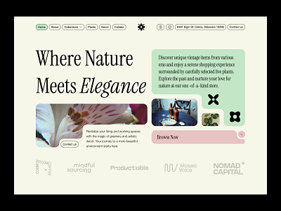 Plants & Decor Store bold creative design ecommerce grid interface landing ui pattern site store ui ux web web design website
