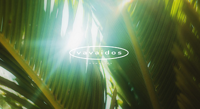 Vavaidos Cosmetics app design branding cosmetics graphic design logo web design